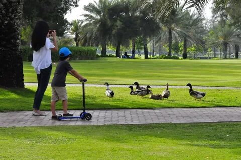 Safa park