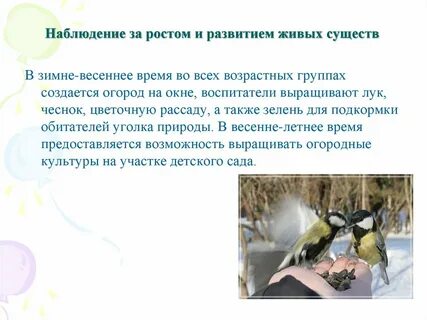 Наблюдать формирование