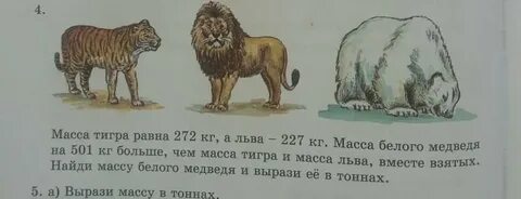 Решите задачу определите вес бурого медведя