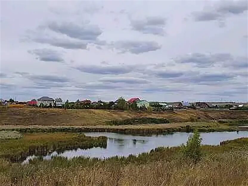 Тихоновичи село