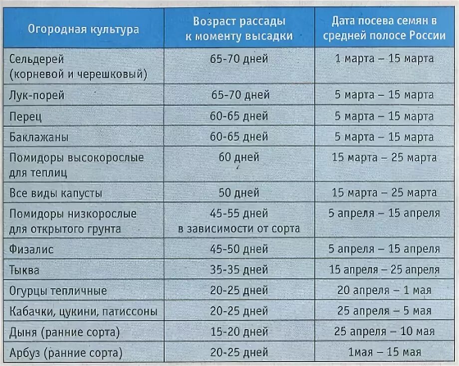 Сроки посадки в средней полосе россии. Сроки высадки рассады овощей в открытый грунт. Сроки посадки рассады в грунт. Сроки посева овощей на рассаду. Возраст рассады для высадки в грунт таблица.