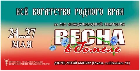 Международная гомель
