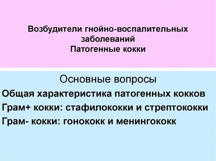 Гнойные возбудители