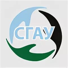 Сибирская гильдия. Сибирская гильдия антикризисных управляющих. сибирская гильдия антикризисных управляющих логотип. что такое ассоциация сгау. сгау сро.