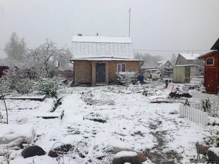 Погода в тосненском районе сегодня