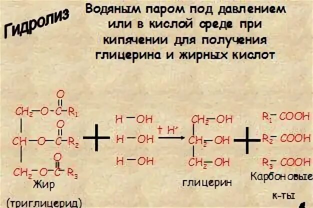 Глицерин и фосфорная кислота