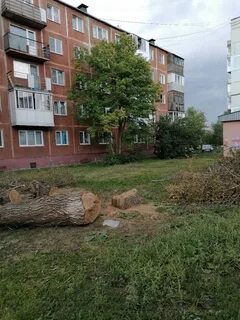 Пожаловаться на двор
