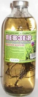 Аралия левзея лимонник