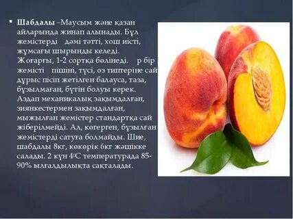 Үлкен жопа ағайынды порно