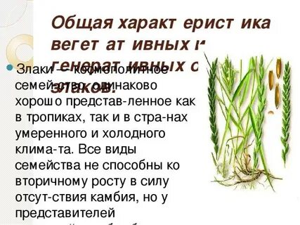 Роль семейства в природе