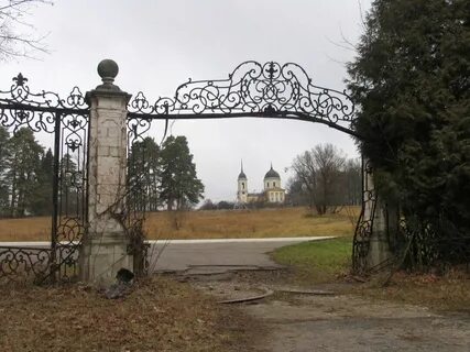 Ворота московская обл