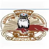 Медицинский колледж воронеж. Космонавтов 46 церковь. Медицинский колледж воронеж. Колледж медицинский космонавтов 46. Колледж медицинский космонавтов 46.
