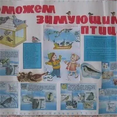 Проект пишем статью в школьную стенгазету. Проект по литературному чтению 2 класс помоги птицам зимой. стенгазета поможем птицам перезимовать. помощь зимующим птицам стенгазета. статья в стенгазету.