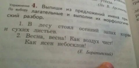 Выполните морфологический разбор слова поздняя осень