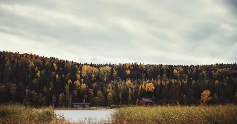 Карелия любовь