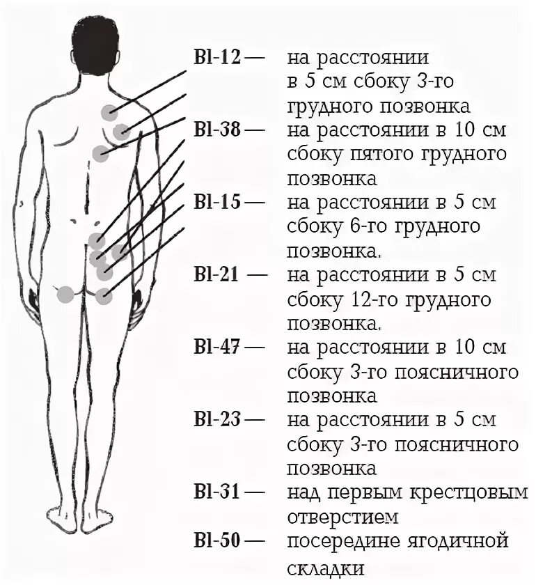Где находится точка g у женщин. Эрогенные зоны мужчины и женщины. точки эрогенных зон мужчин. точка а у мужчин. схема эрогенных зон мужчины и женщины.