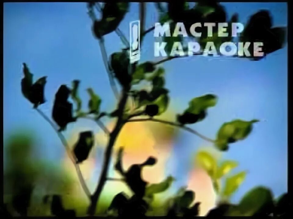 Узнаю по походке. Караоке я милого узнаю. Мастер караоке. Я когдато была молодая мне в окошко светила луна. Песня я милого узнаю по походке.