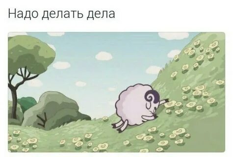 Про бараша