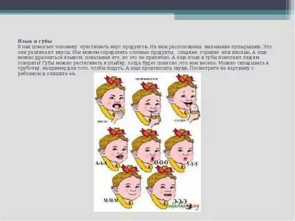 Расположены на маленьких и
