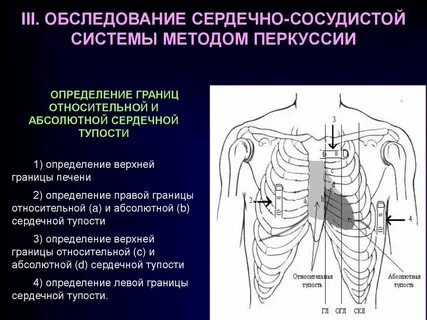 Границы осмотра