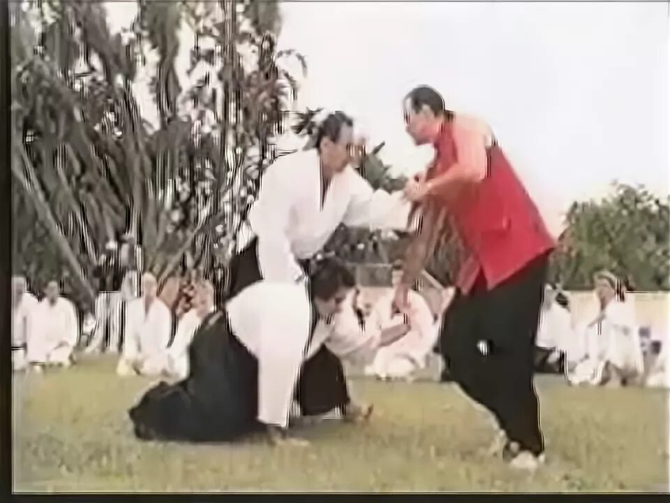 Сигал айкидо видео. Сигал айкидо видео