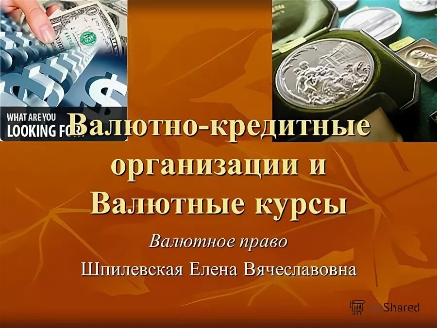 Валютно кредитные институты