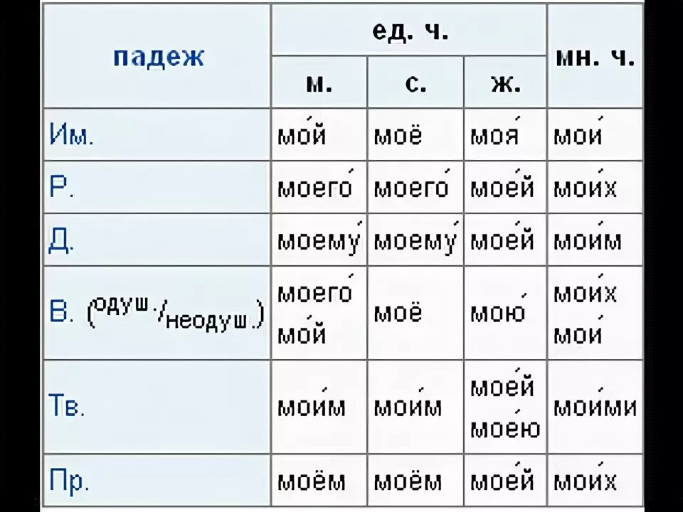 Тренер был доволен моей программой падеж. Склонение притяжательных местоимений в русском языке таблица. Склонение личных местоимений. Притяжательные местоимения рус яз. Местоимение склонение местоимений.