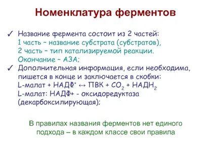 Систематическая номенклатура ферментов