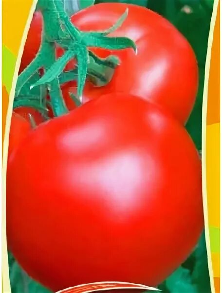 Ребус помидор. Ребус томат. Томат Джемпакт f1 отзывы. Ребус с помидор олог. Ребус : томат, Нота , кит.