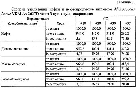 Бактерия нефти