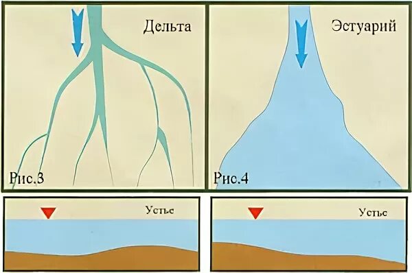 Устье и дельта. Дельта и эстуарий реки. Устье реки Дельта и эстуарий. Устье реки Дельта. Эстуарий схема.