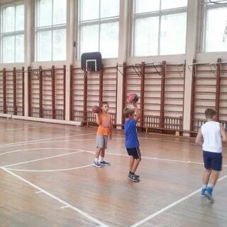 Школа 585