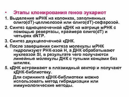 Этапы клонирования