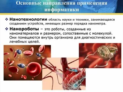 Применение информатики в науке