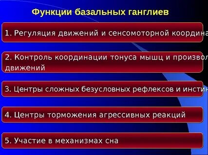 Роль базальных движений