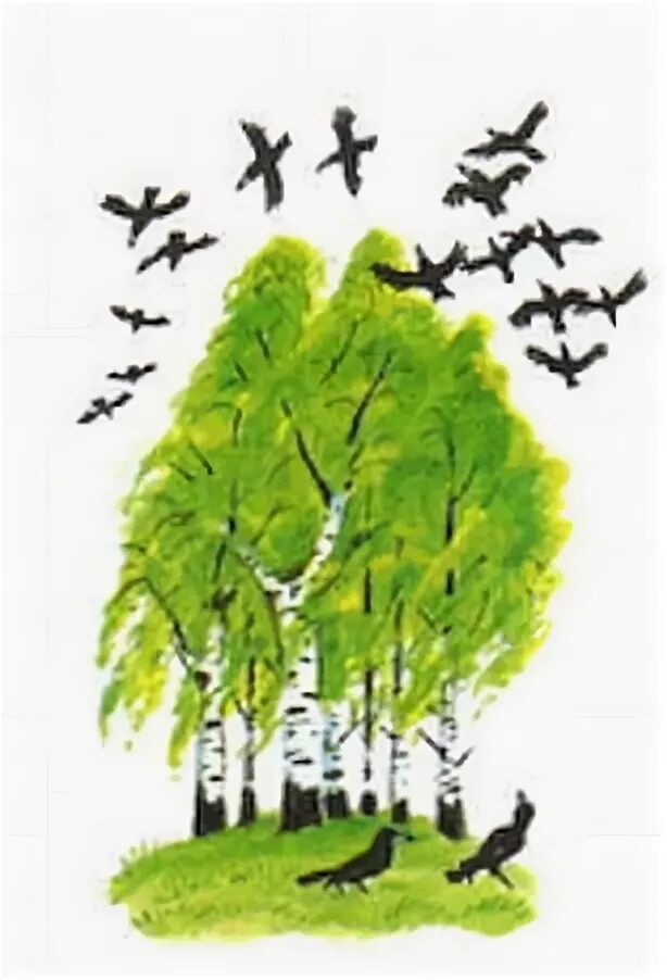 Сочинение про березовую рощу и грачей. Березовая роща весной рассказ. Г скребицкий грачи прилетели. Рассказ о весенних грачах. Маленький рассказ по картинке с березами и грачами.