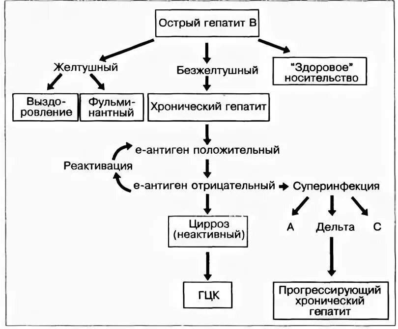 Схема гепатита в. Вирусный гепатит а патогенез схема. патогенез гепатита а схема. патогенез хронического гепатита схема. схема заражения вирусным гепатитом.