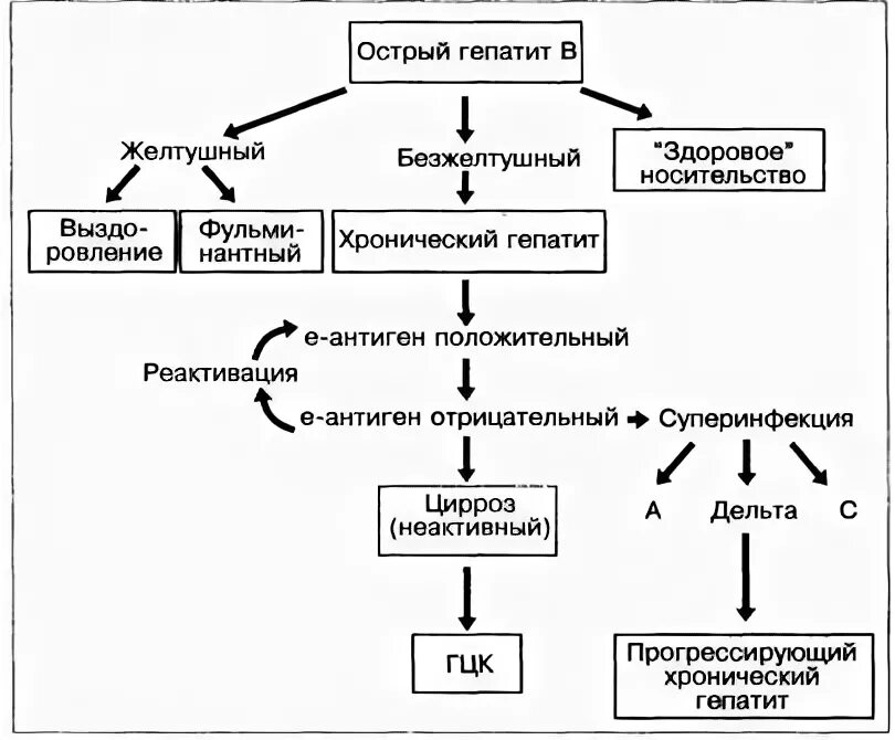 Гепатит а патогенез. Патогенез вирусного гепатита в схема. Патогенез гепатита а схема. Патогенез хронического гепатита схема. Схема заражения вирусным гепатитом.