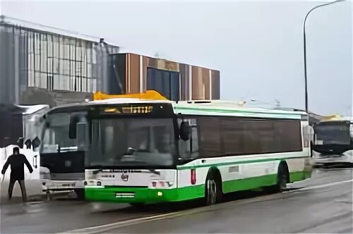 Маршрут 890. Маршрут 890