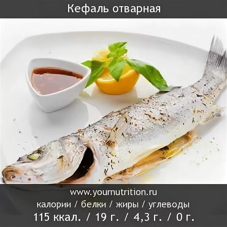 Кефаль калорийность на 100 грамм. Кефаль рыба где водится. Кефаль каспийская. Кефаль калорийность. Кефаль рыба замороженная.