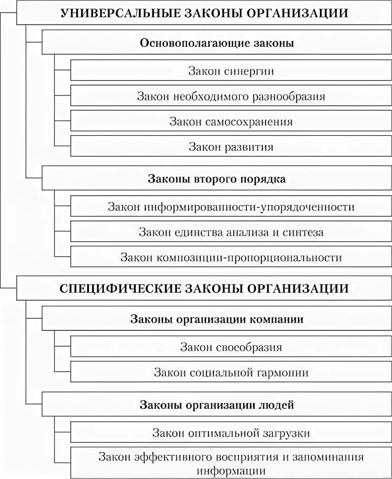 Содержание закона организации. Классификация законов организации. закон теории организации это. законы организации в теории организации. общая характеристика законов организации.