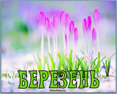 Березни месяц