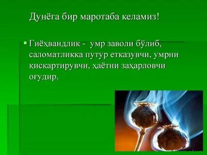 Умр бир галар
