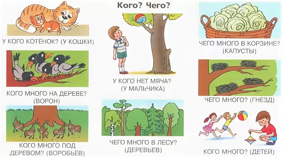 Кого нет в