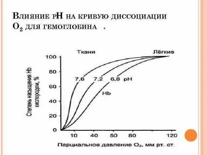 Кривые диссоциации кислорода
