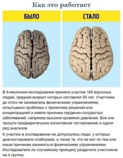 Тест на старение
