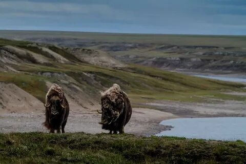 Самый большой биосферный заповедник