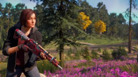 Far cry new dawn