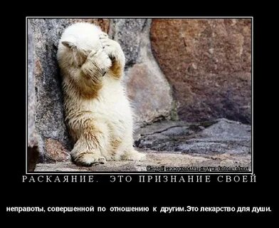 Признать неправоту