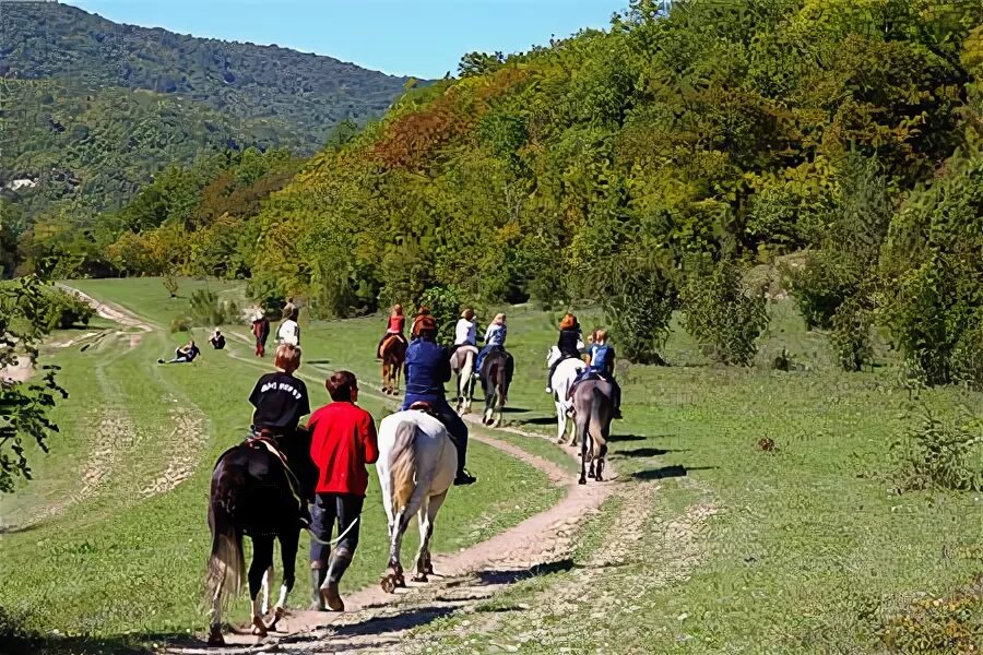 Сукко конные прогулки. Конные прогулки анапа сукко. конные прогулки в долине сукко. конные прогулки в долине сукко анапа. сукко конная прогулка прогулка.